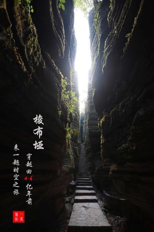 秘宝猎人